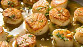 coquilles